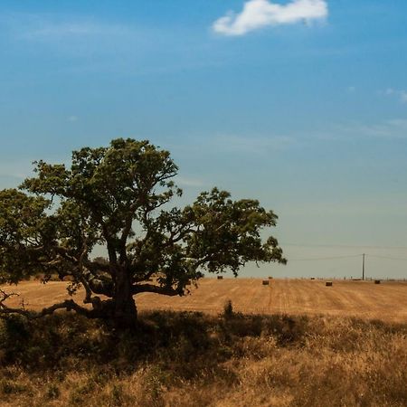 Vales Do Alentejo Guest House Bicos ภายนอก รูปภาพ