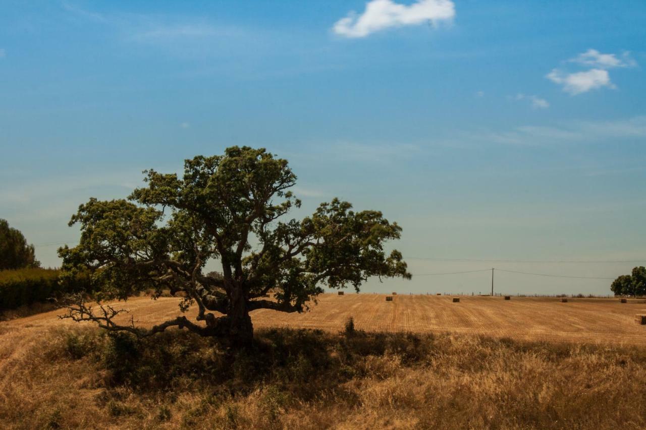 Vales Do Alentejo Guest House Bicos ภายนอก รูปภาพ